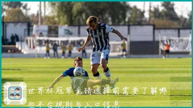 世界杯冠军竞猜选择前需要了解哪些平台规则与入口信息