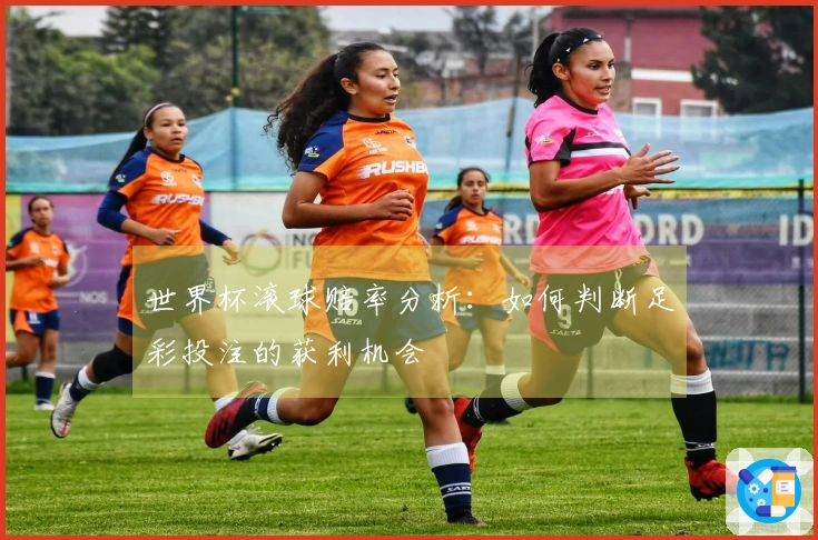 世界杯滚球赔率分析：如何判断足彩投注的获利机会