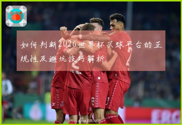 如何判断2026世界杯买球平台的正规性及避坑技巧解析