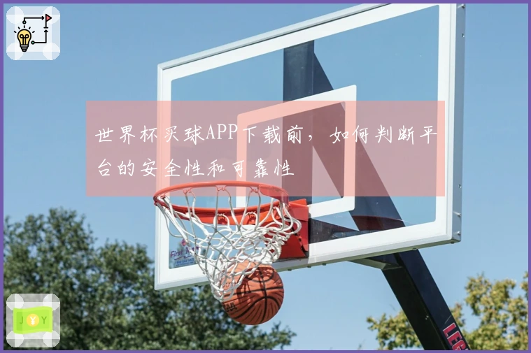 世界杯买球APP下载前，如何判断平台的安全性和可靠性