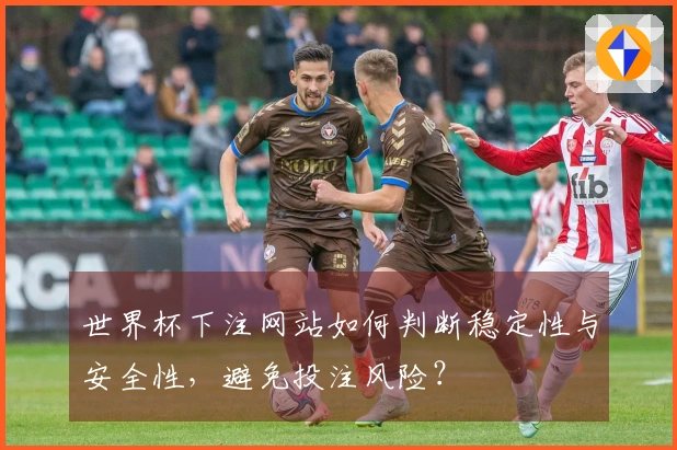 世界杯下注网站如何判断稳定性与安全性，避免投注风险？