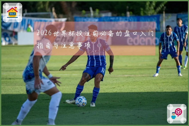 2026世界杯投注前必备的盘口入门指南与注意事项