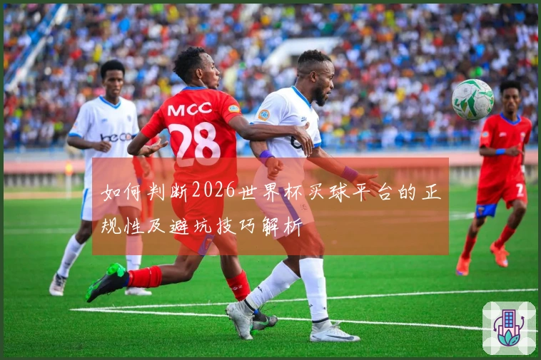 如何判断2026世界杯买球平台的正规性及避坑技巧解析