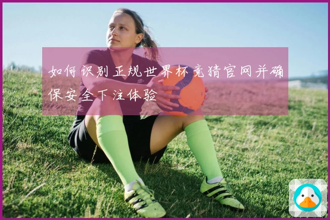 如何识别正规世界杯竞猜官网并确保安全下注体验