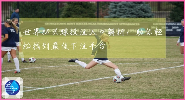世界杯买球投注入口解析，助你轻松找到最佳下注平台