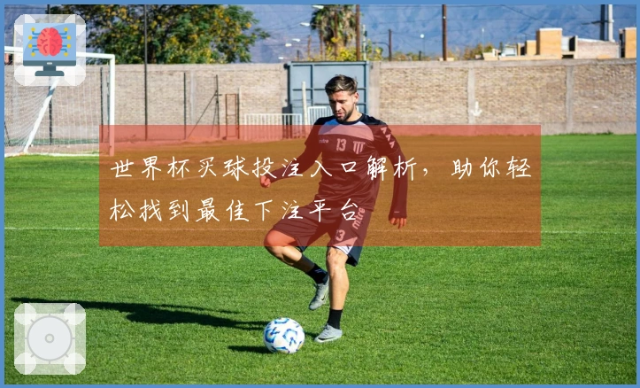 世界杯买球投注入口解析,助你轻松找到最佳下注平台