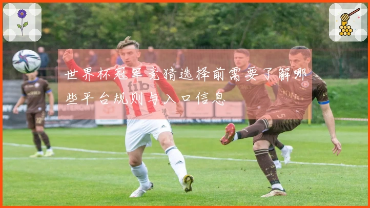 世界杯冠军竞猜选择前需要了解哪些平台规则与入口信息