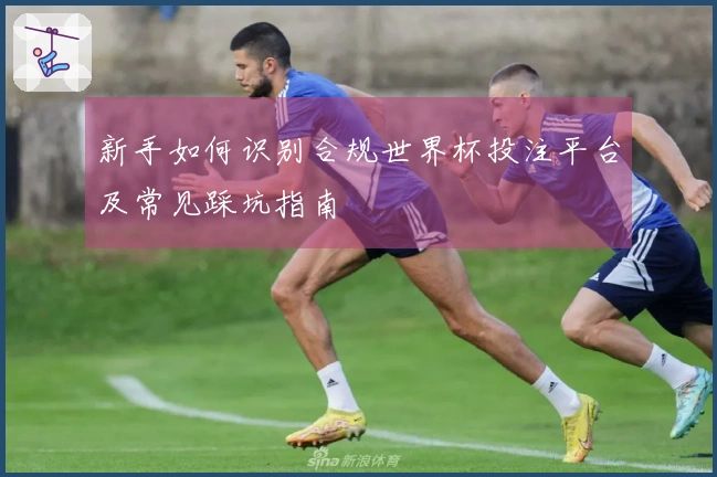 新手如何识别合规世界杯投注平台及常见踩坑指南