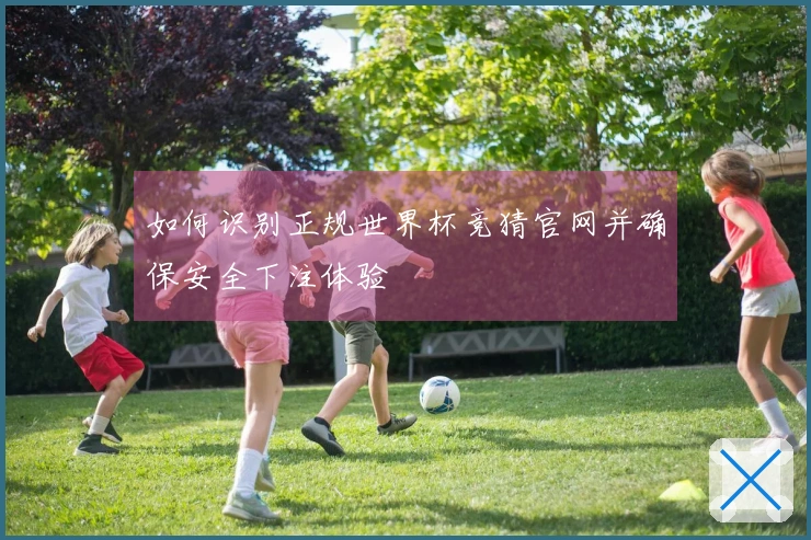 如何识别正规世界杯竞猜官网并确保安全下注体验