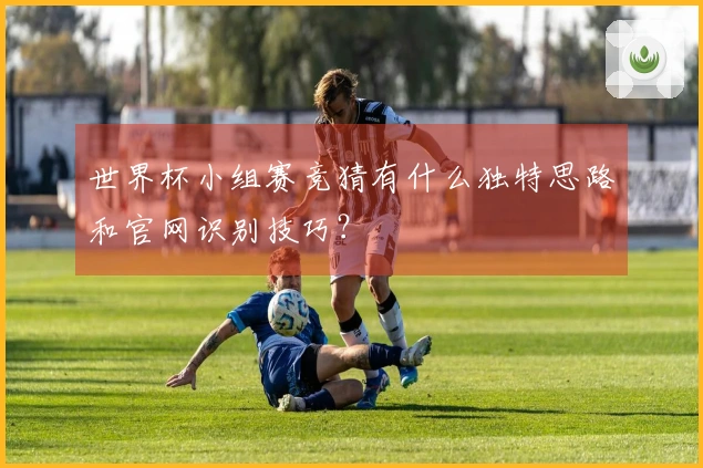 世界杯小组赛竞猜有什么独特思路和官网识别技巧？