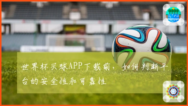 世界杯买球APP下载前，如何判断平台的安全性和可靠性