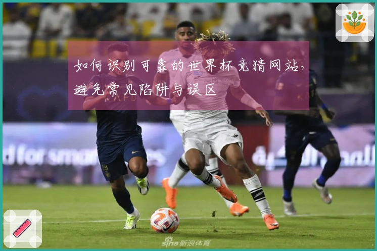 如何识别可靠的世界杯竞猜网站,避免常见陷阱与误区