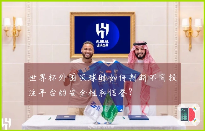 世界杯外围买球时如何判断不同投注平台的安全性和信誉？