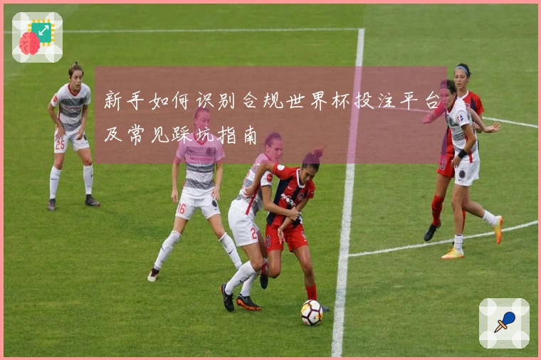 新手如何识别合规世界杯投注平台及常见踩坑指南